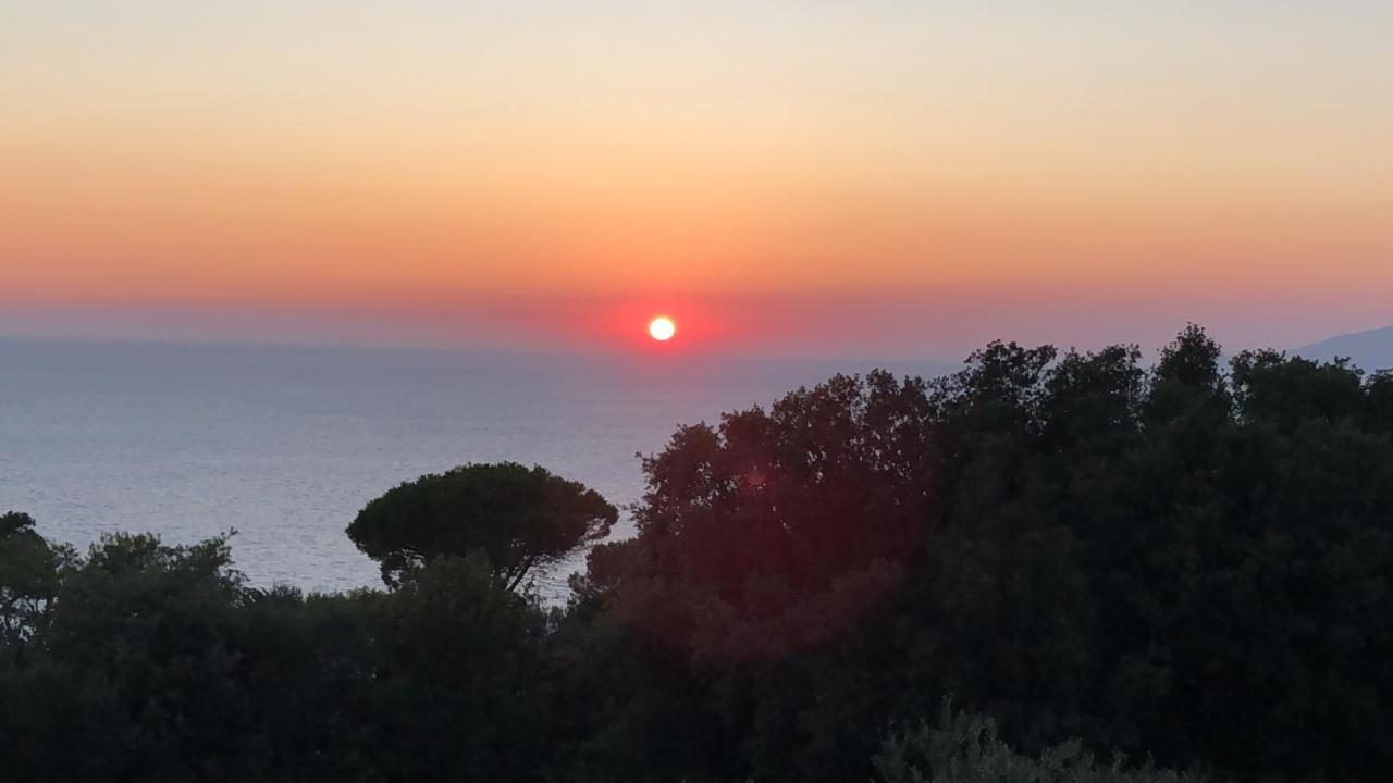 La Draghina B&B Capri Anacapri  Exteriör bild